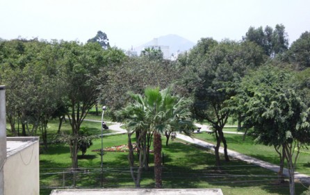Vista a parque